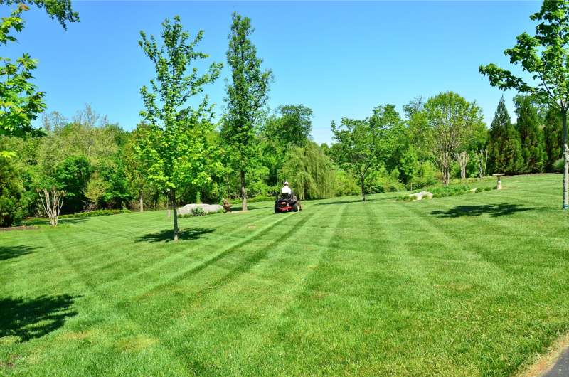 Commercial Landscaping