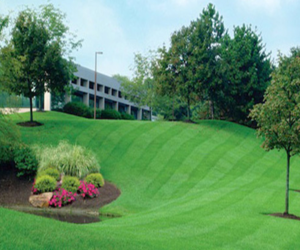 Landscaping and Property Maintenance