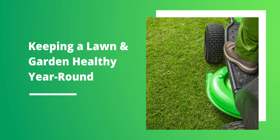 Commercial Landscaping: Keeping a Lawn & Garden Healthy Year-Round With Snow Tech