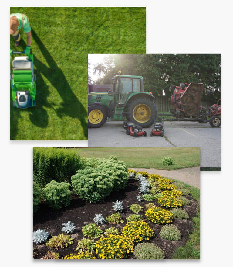 Condo Landscaping Services